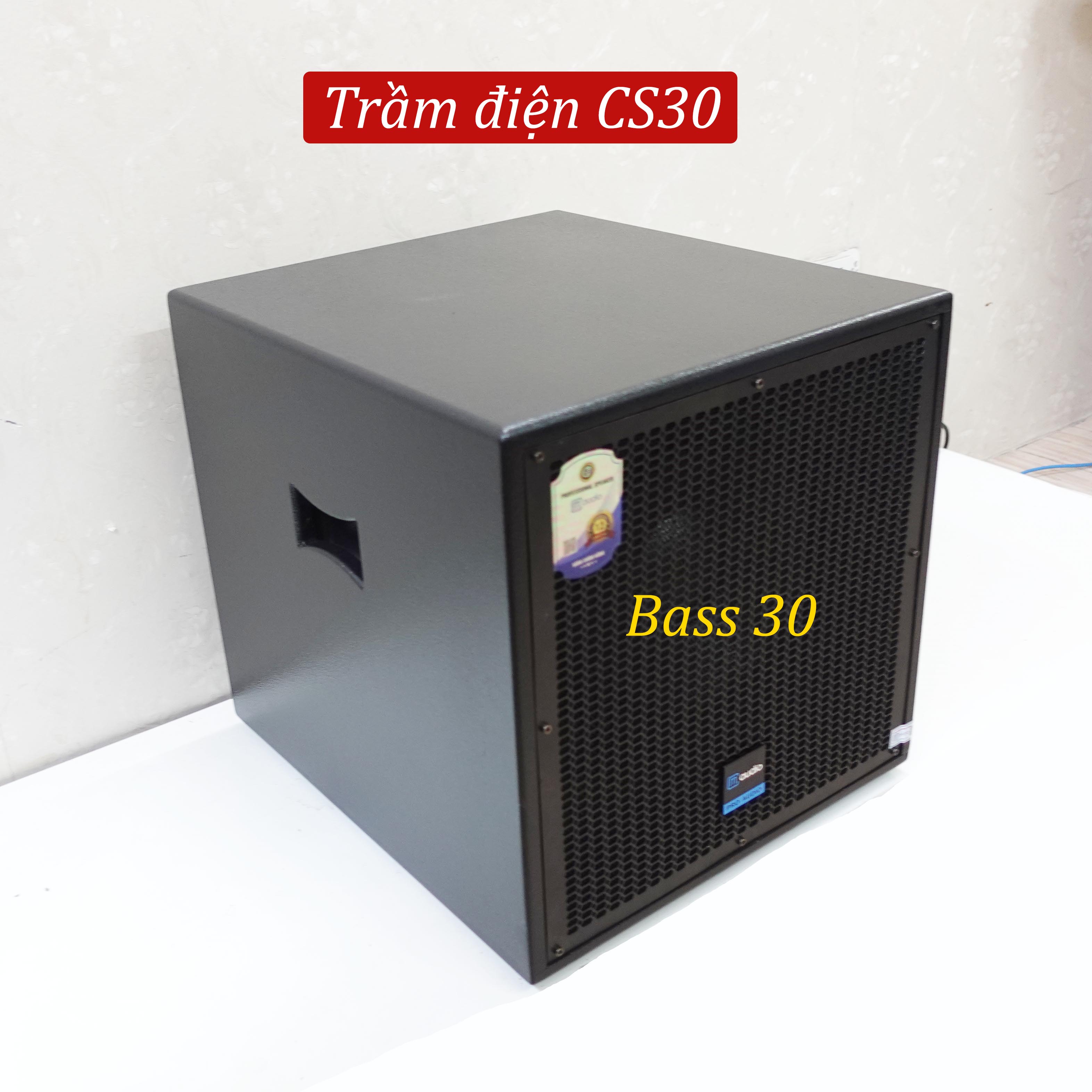 Loa Trầm Điện CM CS30 Bass 30 công suất 450w