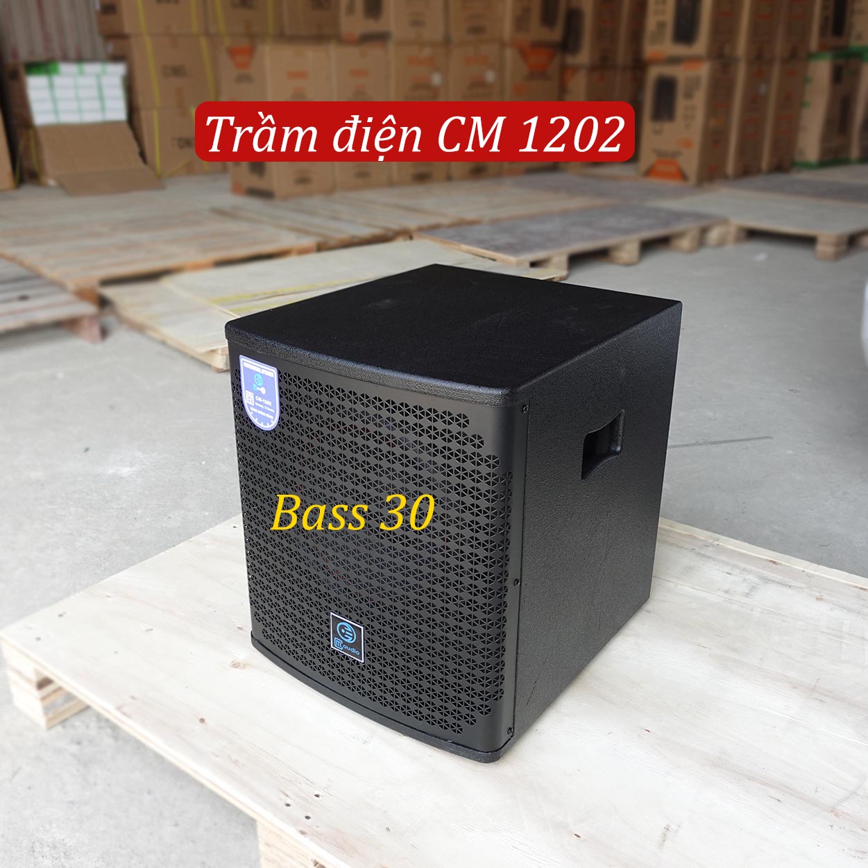 Trầm Điện CM 1202 bass 30cm(Sub)