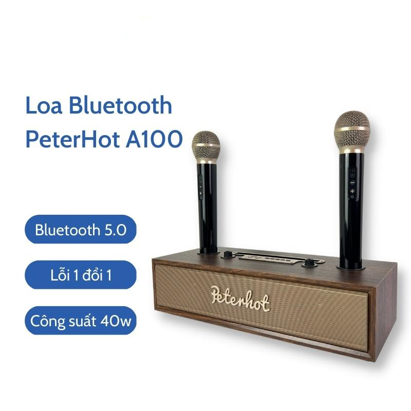 Loa Karaoke Bluetooth Peterhot A100