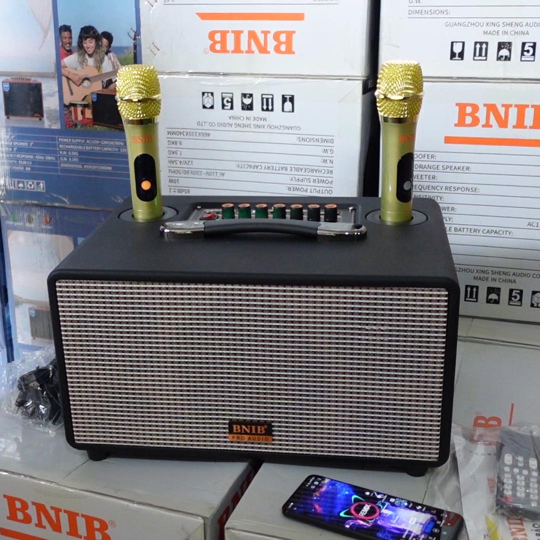 Loa karaoke xách tay bluetooth BNIB BN-116, Loa hệ thống 3 đường tiếng bass 16cm, bảo hành 12 tháng